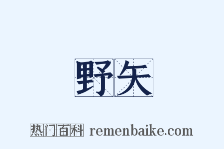 野矢是什么意思的图片